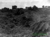 Filename=guiclaret191.jpg
Filesize=135KB
Dimensions=1024x768
Date added=Mar 22, 2006 guiclaret191.jpg