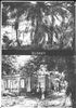 Filename=elobey chico.jpg
Filesize=106KB
Dimensions=588x837
Date added=Aug 30, 2004 elobey chico.jpg