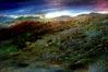 varias_2006_peninsula_y_comunion_085.jpg