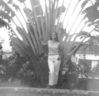 Filename=Palmera.jpg
Filesize=19KB
Dimensions=455x441
Date added=Jan 24, 2007 Palmera.jpg
