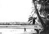 Filename=1966 Playa del Km 10.jpg
Filesize=31KB
Dimensions=600x414
Date added=May 11, 2004 1966 Playa del Km 10.jpg