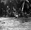 Filename=1968-12 Playa Km 10 (2).jpg
Filesize=63KB
Dimensions=600x590
Date added=May 10, 2004 1968-12 Playa Km 10 (2).jpg