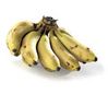 Filename=banana-manzana.jpg
Filesize=18KB
Dimensions=200x173
Date added=Jan 24, 2007 banana-manzana.jpg